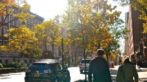 Changing Colors on Columbia's Campus