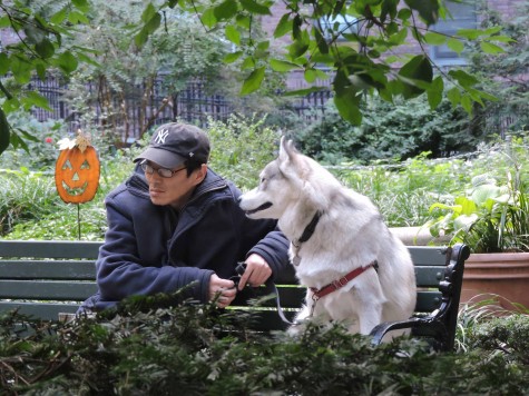 A man and his Alaskan Husky sit on a bench together in the middle of a garden on Monroe Street in Chinatown.