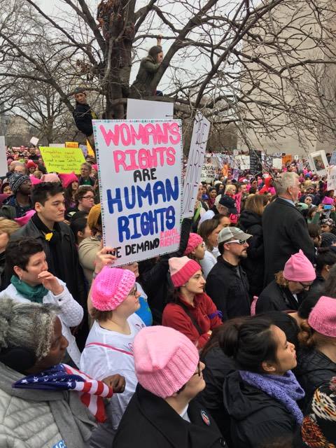 Protestors rally together during the Womens March on Washington.