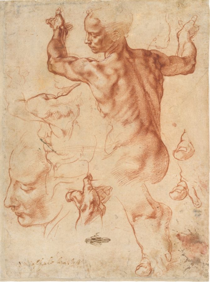 Michelangelo Buonarroti (Italian, 
Caprese 1475–1564 Rome)
Portrait of Andrea Quaratesi
1532
Drawing, black chalk; 16 3/16 x 11 1⁄2 in. (41.1 x 29.2 cm)
The British Museum, London