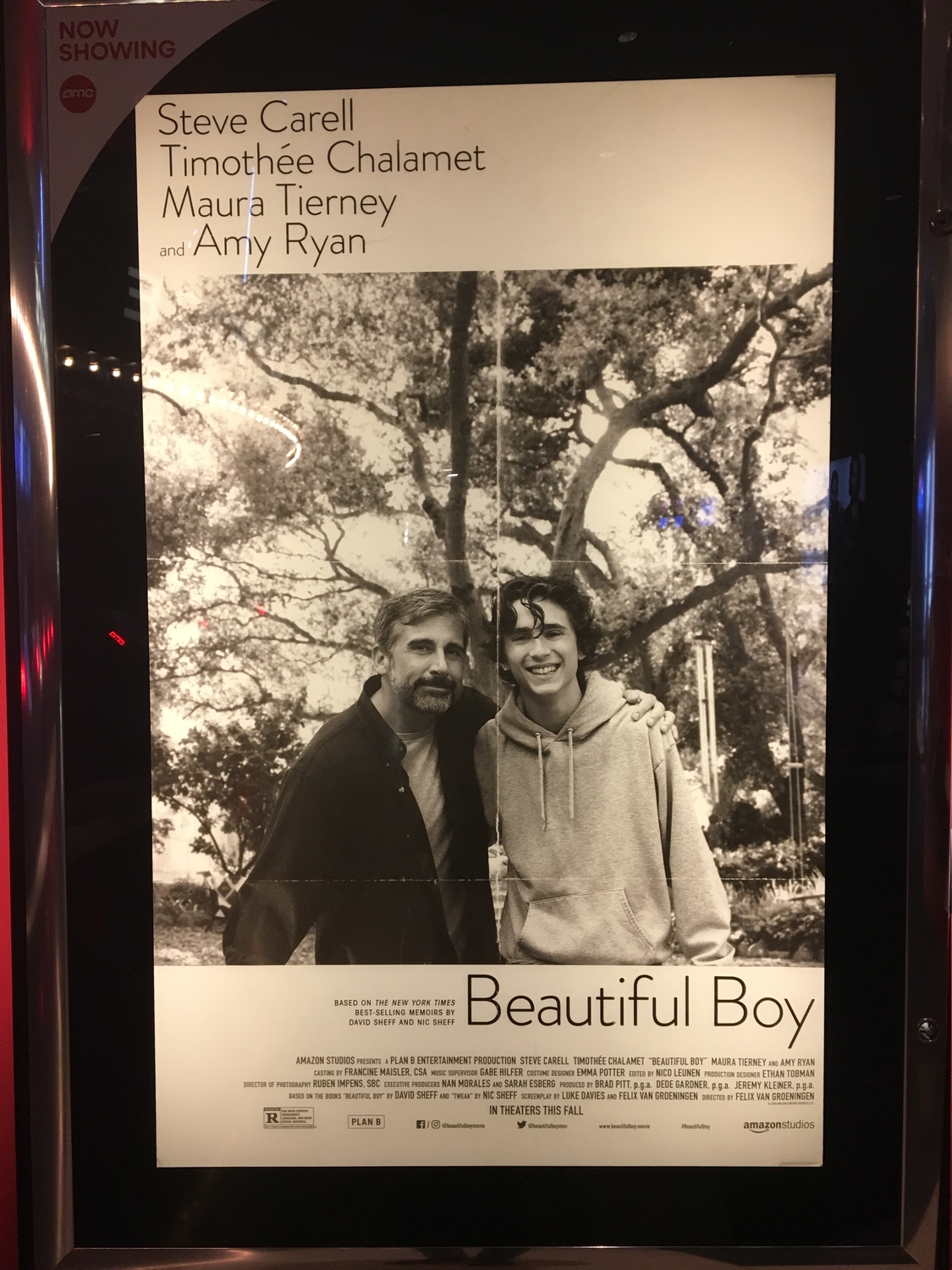 A Review Of ‘beautiful Boy’ – The Science Survey