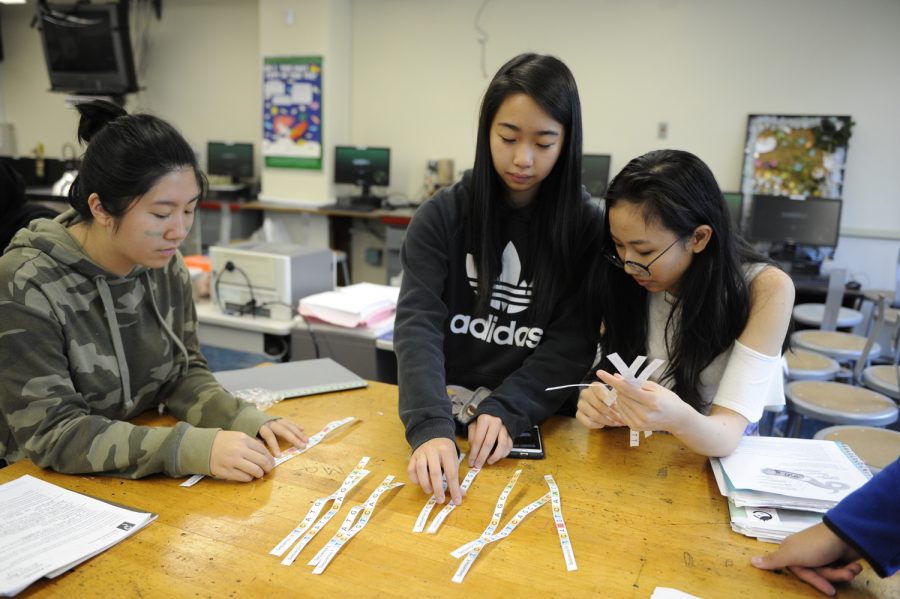 Zoe Chen ’19, Cassie Tian ’19, and Lauren Handler ’19 work together on an assignment during a Post-AP Evolution Lab, one of the new courses on offer this year.