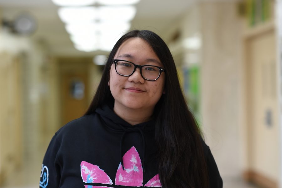 Kelly Huang ‘21 reminisces about the nostalgia that she felt after watching this newest addition of the Frozen movies. “I remember watching Frozen vividly when I was younger. It was one of my favorite movies. So, I definitely couldn’t wait to watch this sequel,” Huang said.