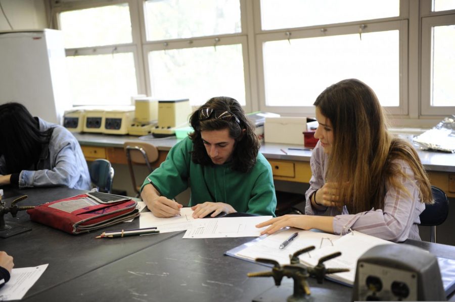 Students work together on worksheets in AP Biology.