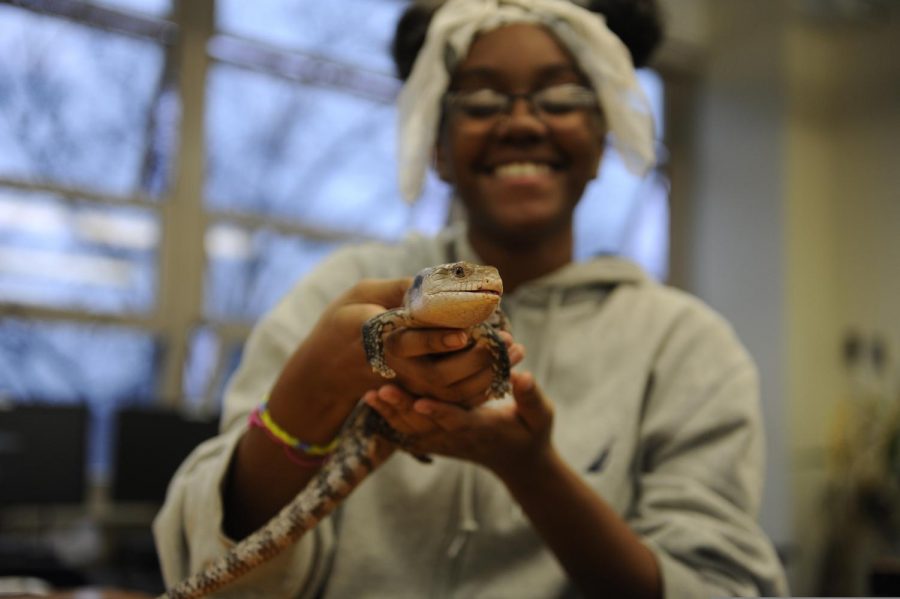 Here, a student in the animal room is holding a reptile up to the camera.