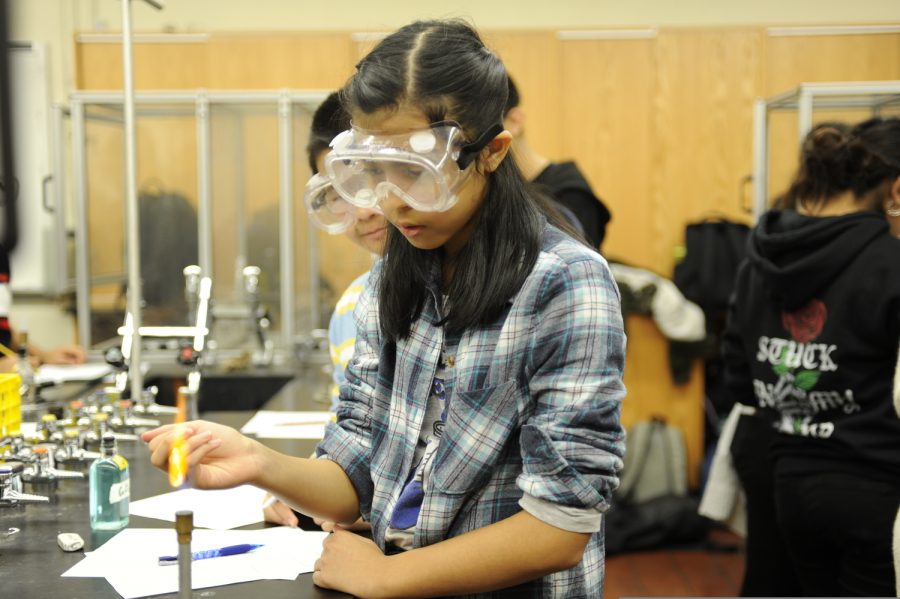 While scientists around the world sacrifice the typical methods in their tests for a cure, students at Bronx Science study the fundamentals of chemistry and learn about the importance of adhering to procedure. 