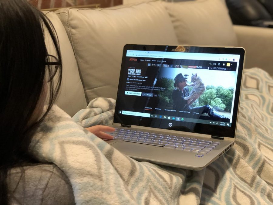 Students enjoy killing time by binging newly-released Netflix shows. The trailer of ‘Tiger King’ entices viewers with provocative clips of conflict and violence.