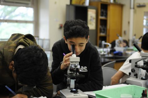 This student makes observations through a microscope. 