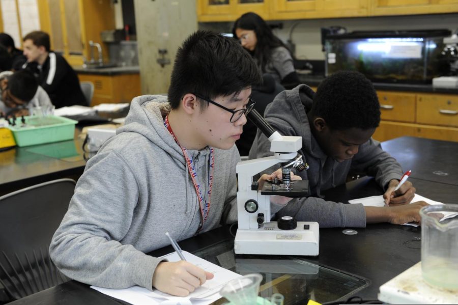 Two students simultaneously work together to complete a lab. 