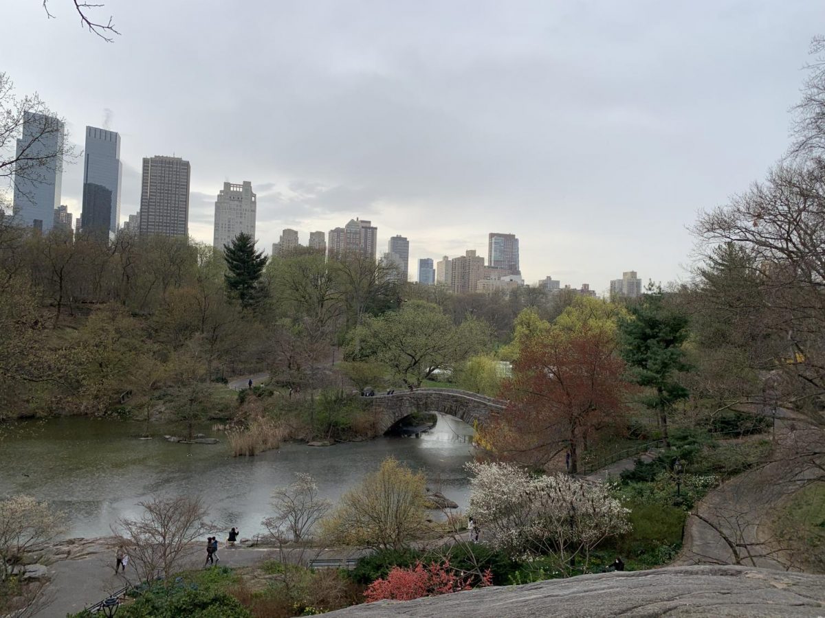 A Rhapsody on Nature in New York City – The Science Survey