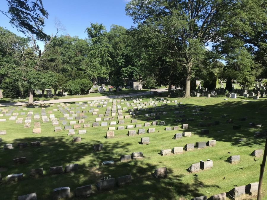 Here is a view of the Woodlawn Cemetery.