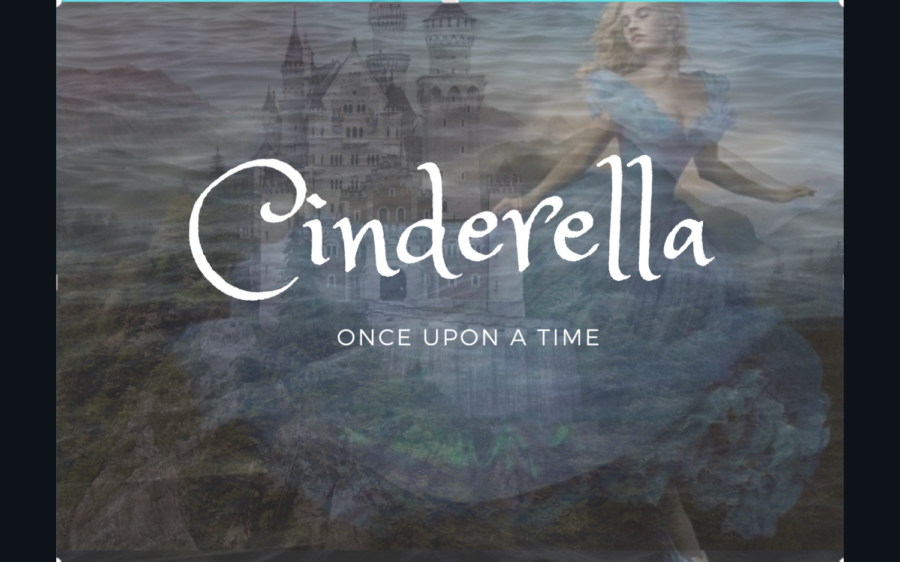 “Perhaps the greatest risk any of us will ever take is to be seen as we really are.”
― Cinderella
