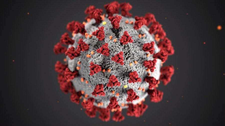 A computer rendition of a COVID-19 pathogen shows an up close detail of the virus that has caused a global pandemic.