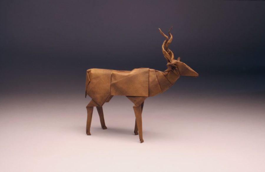 Here is one of Robert J. Lang’s original designs and compositions, entitled the Greater Kudu, folded from one uncut square of MC-sized Itajime. All of his works are displayed on his website: https://langorigami.com/ 