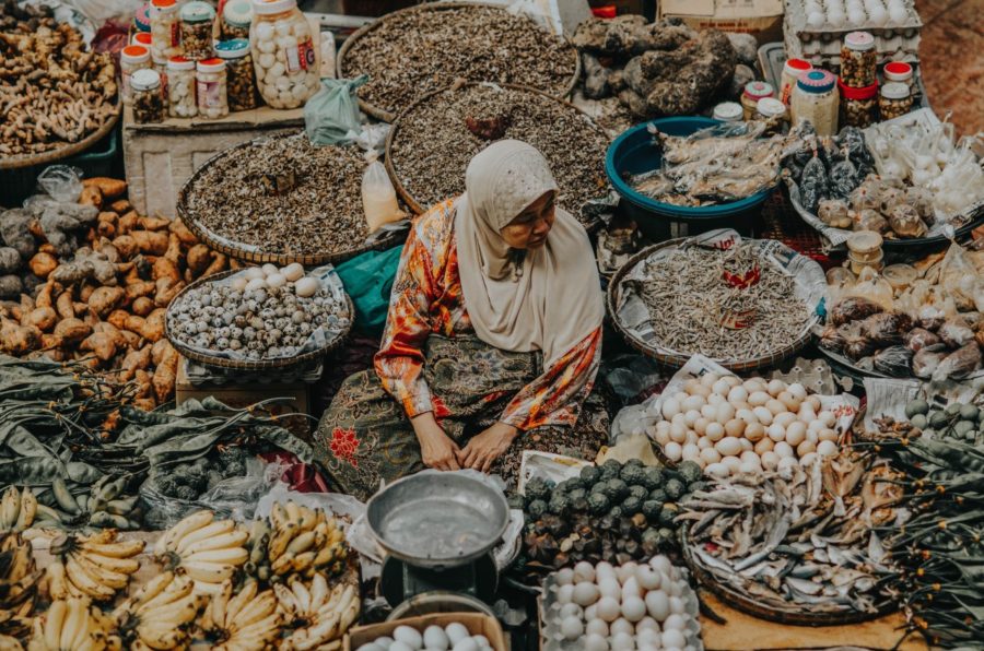 In Malaysia, food markets and farming have crumbled, propelling the UN to distribute food instead of funds. Citizens have enough food for the short term, but they are slowly preparing for the day that the UN’s supply runs out. 