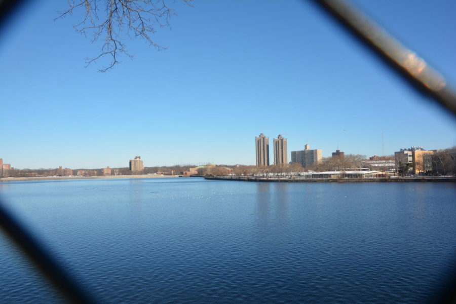 Here is a view of the Jerome Park reservoir, including the Tracey Towers in the background. 