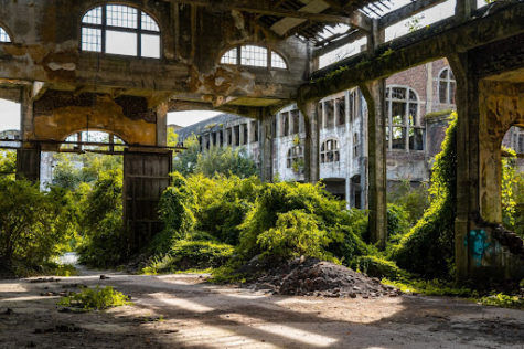 Nature overtakes abandoned warehouses, reminiscent of the serene desolation of Station Eleven’s world.