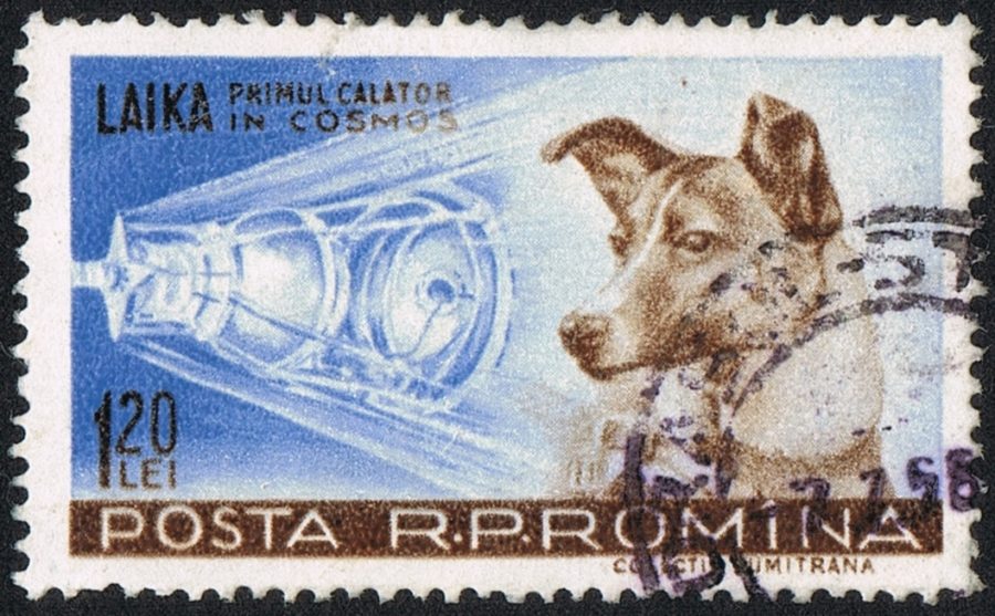 After her mission was announced to the public, Laika became a celebrity in the Soviet Union, appearing on products ranging from stamps to matchboxes.