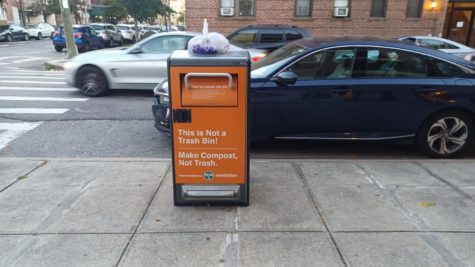 Pictured is a communal street bin in Queens, available to all residents and passers-by. 