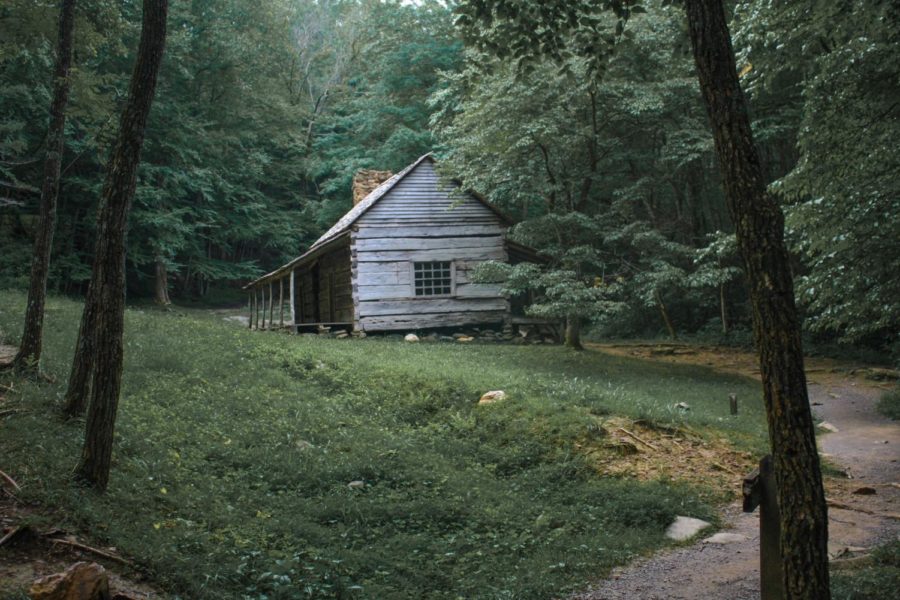 The+Appalachian+forests+are+lush+and+green%2C+providing+a+perfectly+eerie+environment+for+people+to+question+their+surroundings.+
