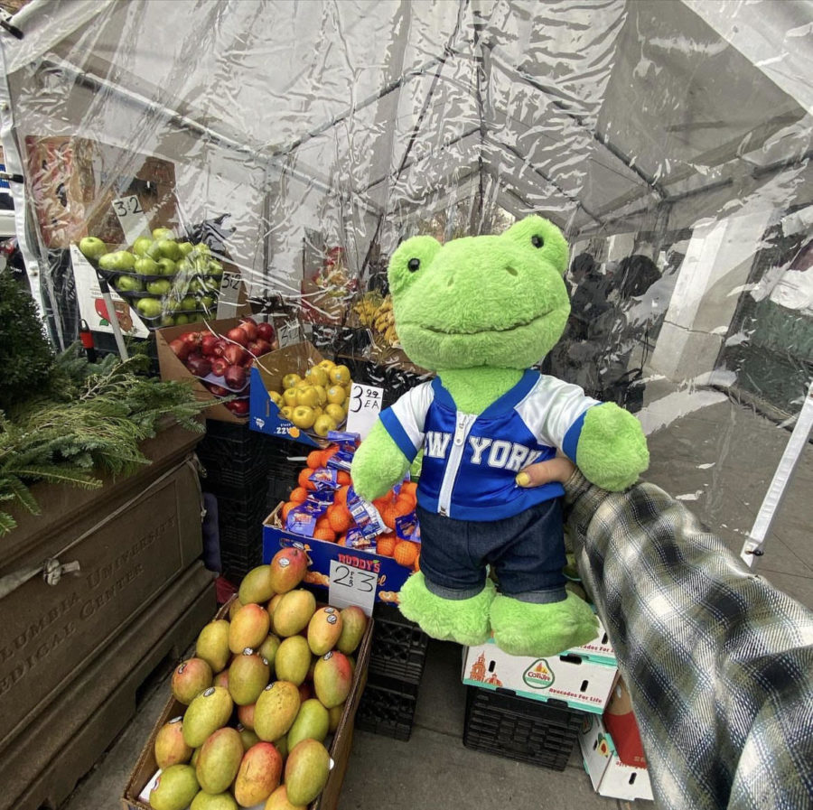 A picture of my Build-A-Bear Frog, Fructose, in front of a fruit stand. Mentioned from Instagram account dedicated to stuffed animals. 