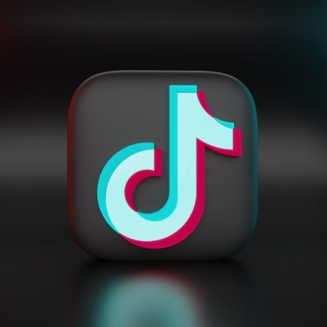 A famous social media app called TikTok continues to take over the world of youth.