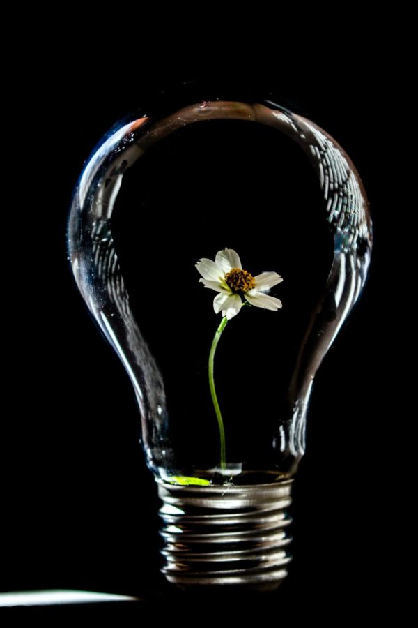 Electricity is associated with ideas, and similarly, the brain is constantly shifting, developing, growing, and responding to stimuli.