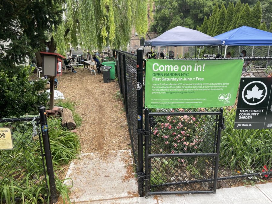 The Maple Street Community Garden welcomed residents from all over the city on June 3rd, 2023 for activities and games.