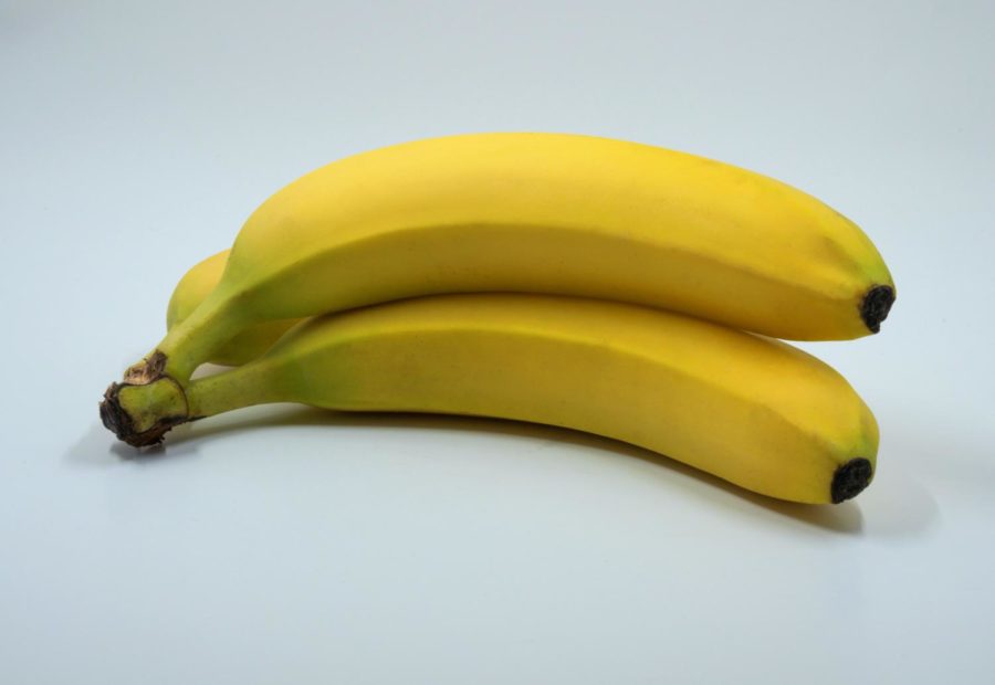 Fun+Fact%3A+More+than+a+billion+bananas+are+eaten+every+year.+%28Photo+Credit%3A+Brett+Jordan+%2F+Unsplash%29%0A