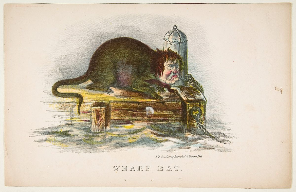 Rats 101: An Investigation Into a Cultural Mystery of New York City ...