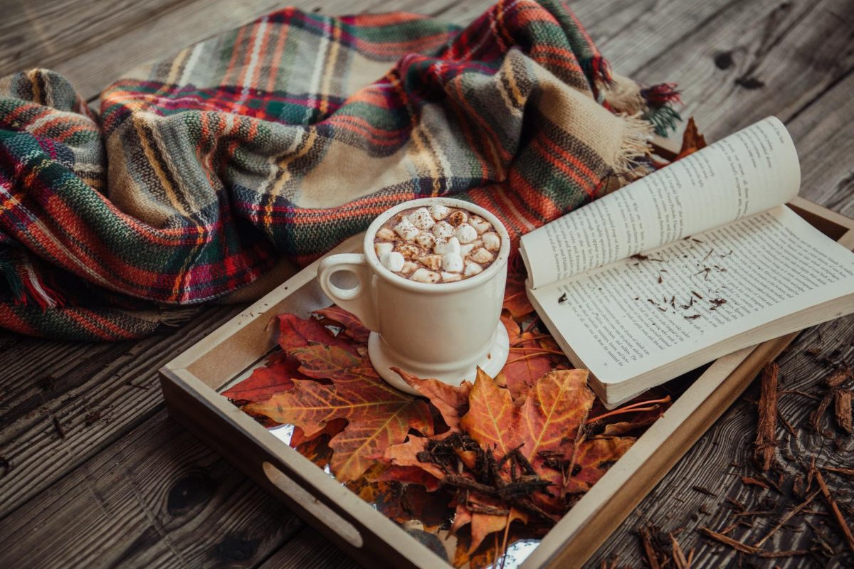 A mug of hot chocolate settles nicely on some vivid leaves and a book, creating a cozy atmosphere. Photo Credit: Alisa Anton / Unsplash