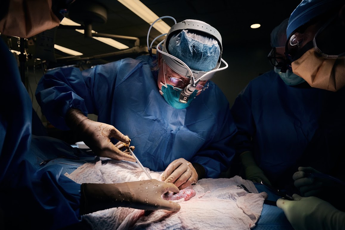 Here, two surgeons prepare for an operation carefully, in order to ensure the safety of their patient. (Photo Credit: Jonathan Borba / Pexels)
