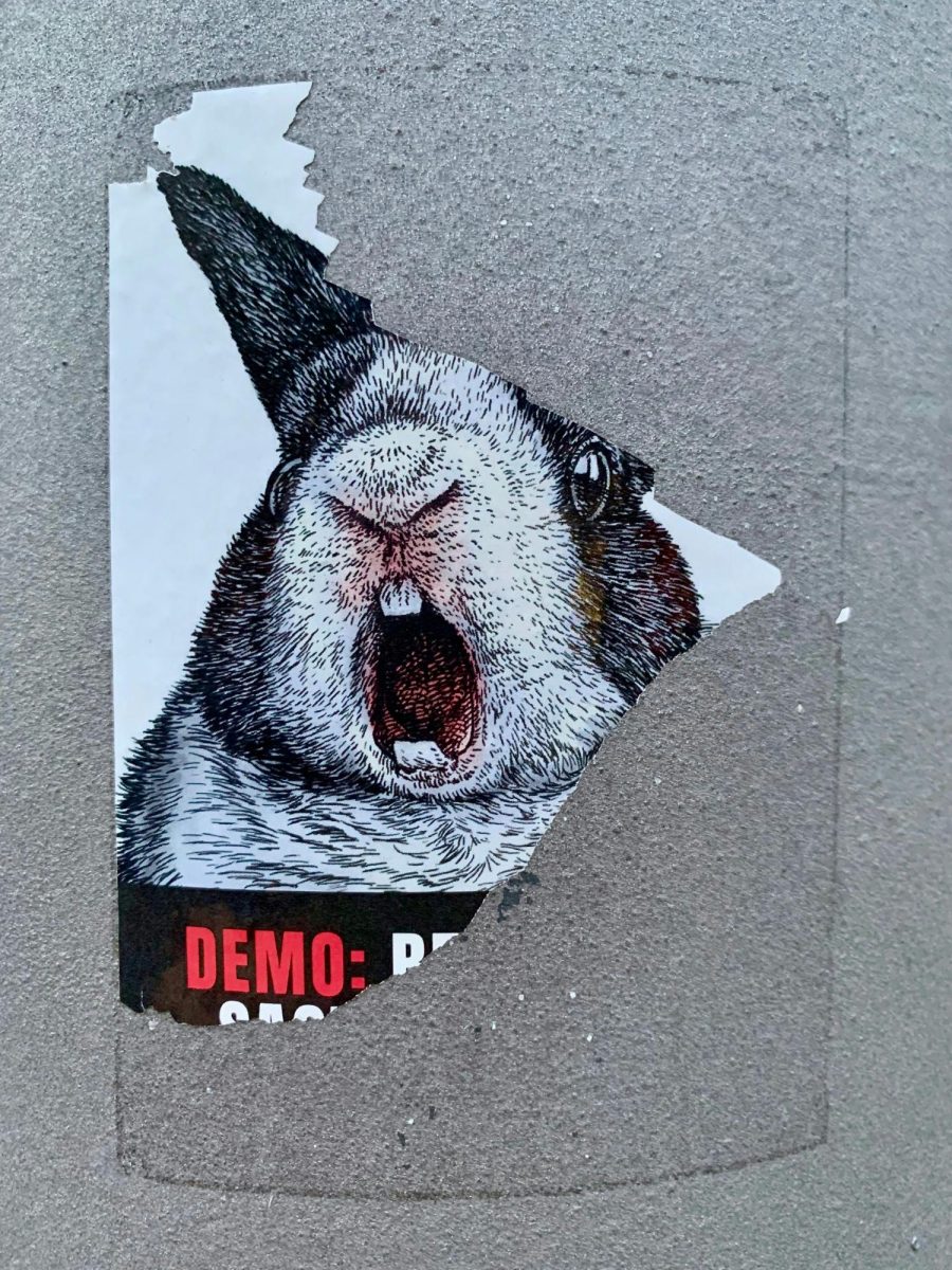 Here+is+a+fragment+of+a+poster+in+Berlin%2C+Germany%2C+from+a+group+protesting+animal+experimentation.+%28Photo+Credit%3A+Bekky+Bekks+%2F+Unsplash%29%0A