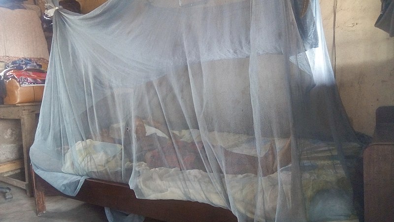 In many countries with mosquitos, people will use nets to cover their beds. The nets keep the mosquitos outside, allowing people to sleep without bites from the pesky creatures. (Photo Caption: HarunaSylvester, CC BY-SA 4.0 , via Wikimedia Commons)