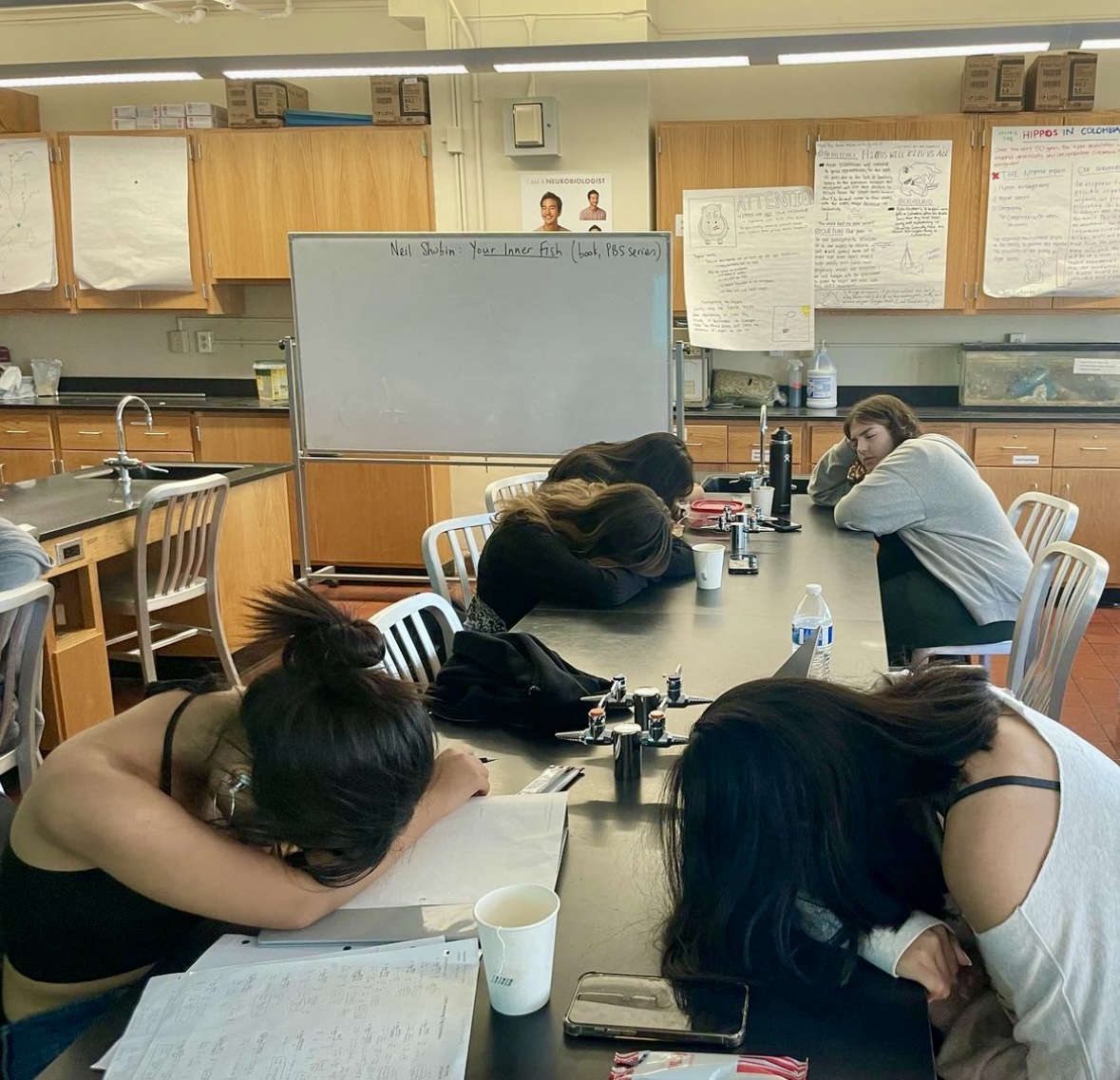 The+Bronx+Science+Mental+Health+Association%2C+a+club+formed+in+response+to+the+academic+pressures+of+school%2C+aims+to+improve+students+well-being+by+developing+coping+strategies.+They+often+spends+their+meetings+meditating%2C+as+seen+here.+%28Photo+Credit%3A+Bronx+Science+MHA+Instagram%3B+used+by+permission%29