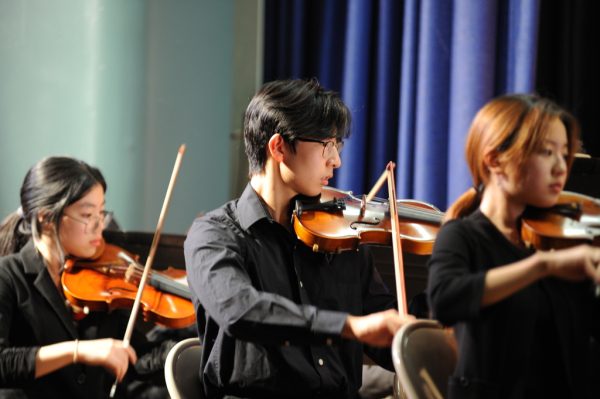 The violinists play in unison, each with their own unique take on their bow movements. 