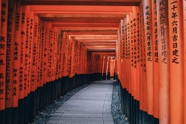 Pictured is the Fushimi Inari Trail, in Kyoto, Japan. As Japan tackles its pressing demographic issues, the world watches and learns, recognizing the global implications of the nations strategies to manage an aging and shrinking population. (Photo Credit: Lin Mei / Unsplash)