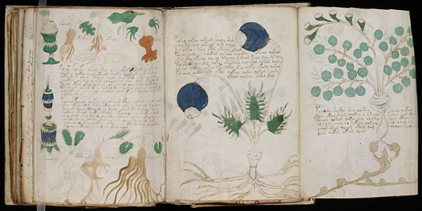 Here is a fold-out page from the mysterious Voynich manuscript, which is undeciphered to this day. (Image Credit: Beinecke Rare Book & Manuscript Library, Yale University, Public domain, via Wikimedia Commons) 