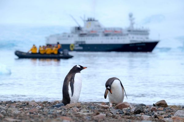 Here is a photo of two penguins in Antarctica, with a cruise ship in the background. (Photo Credit: Derek Oyen / Unsplash)