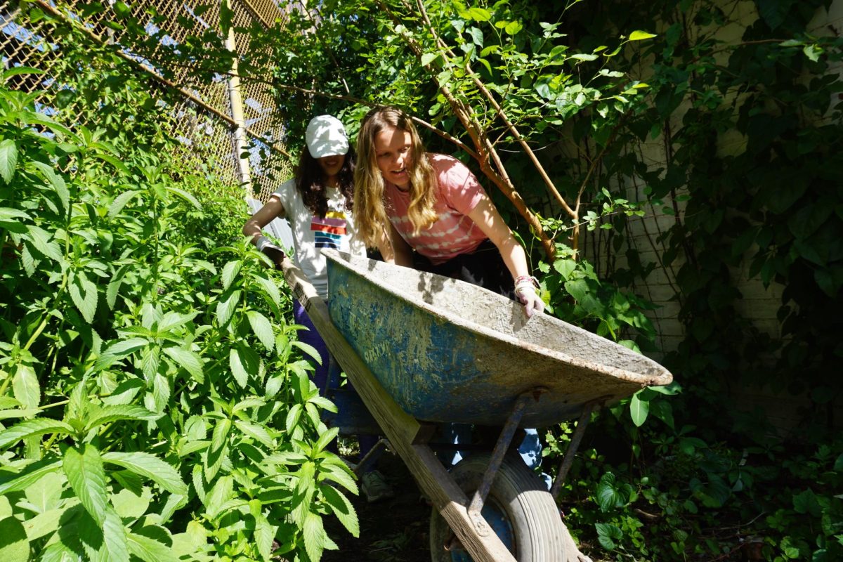 Eleni Skasilas 24 (in the front) guides a wheelbarrow down a narrow path. A wheelbarrow is sometimes needed to carry the large amount of weeds pulled out during a gardening meeting.