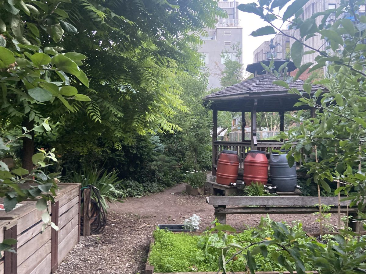 In lower Manhattan, a small vegetable garden setup is exemplified in a community garden. Rainwater tanks and a raised plant bed effectively use a small space in which to grow food.
