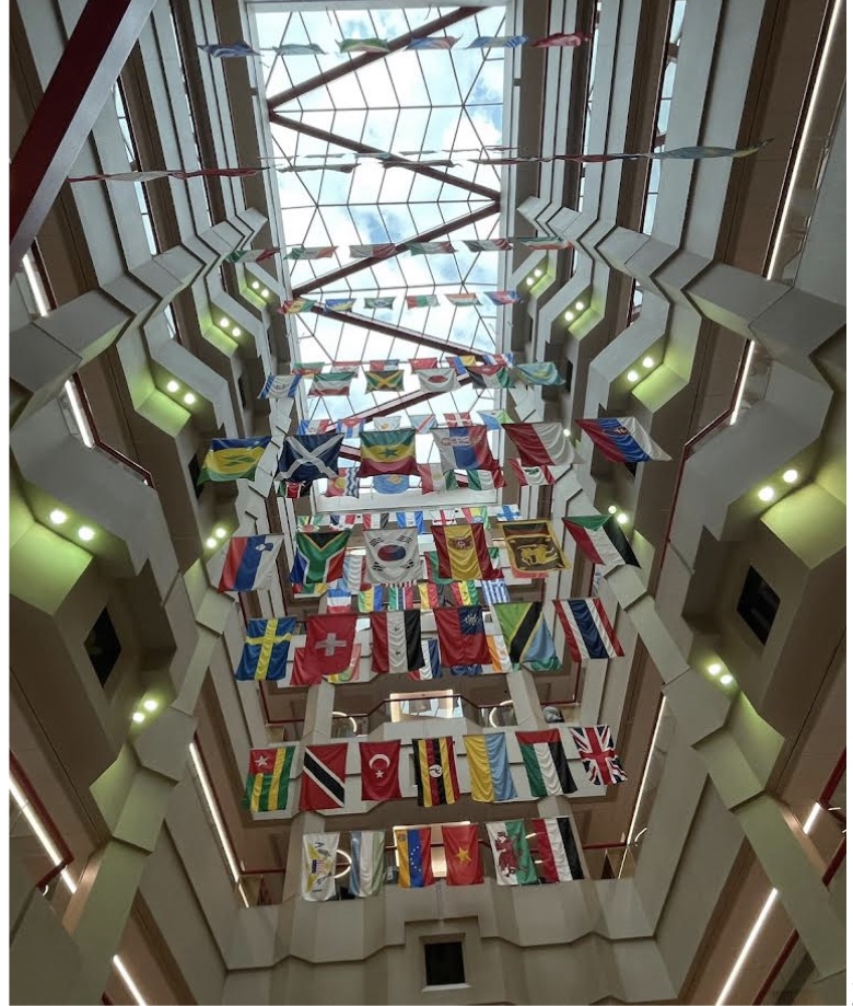 These flags show all the countries that St. Jude has had cancer patients come from.