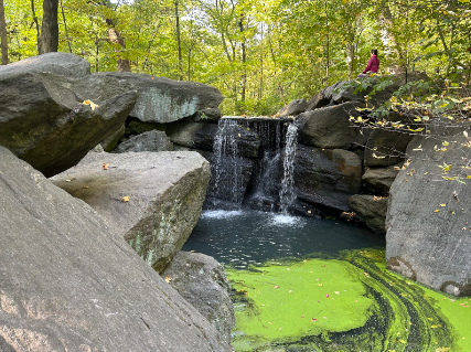 Central Park is home to countless waterfalls of varying sizes, drawing many who seek to immerse themselves and meditate within nature’s tranquility.