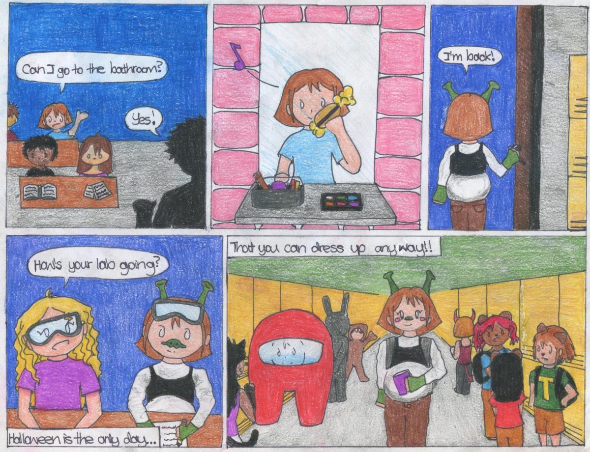 The Survey Strip