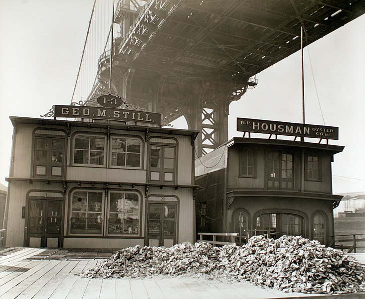 Pictured is a photo of oyster piles in front of oyster houses in New York City. These piles were often left out until they were picked up to be used for other purposes. (Photo Credit: Berenice Abbott, Public domain, via Wikimedia Commons)