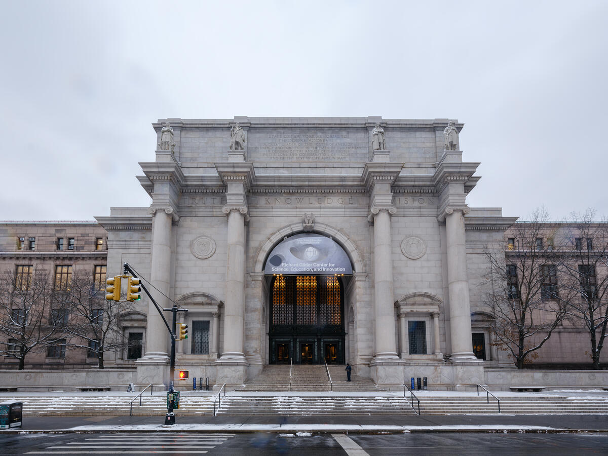 Here is a head-on image of the American Museum of Natural History's Central Park West street entrance and facade. A banner for the Gilder Center hangs from an arch above the entrance doors. (Photo Credit: Alvaro Keding/© AMNH; used by permission)