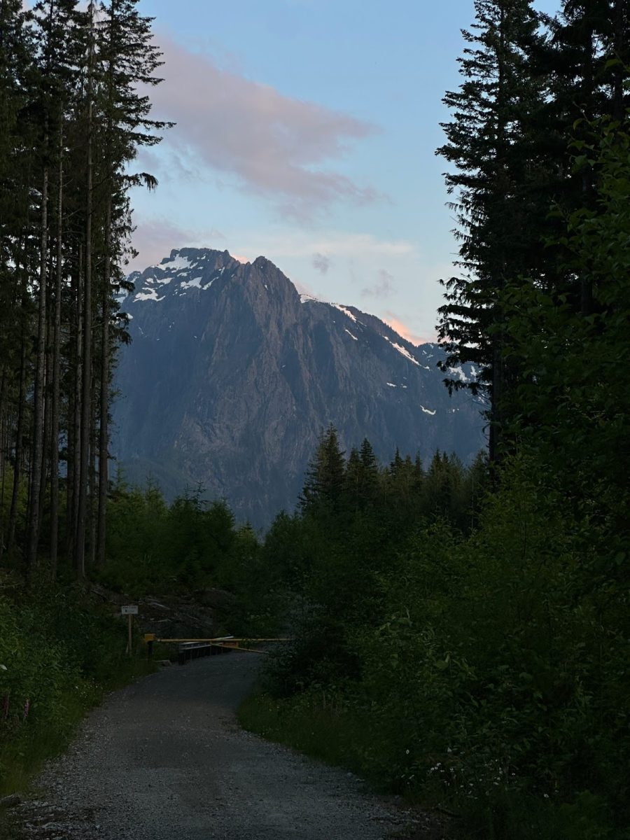 A few meters from our tent-site, in Reiter Foothills, was a view of the Cascade Mountains. I had never seen a mountain that looked quite like this before, let alone this frequently. Under this path was the creek, where we got our water from and occasionally cleaned off in. (Photo Credit: Jordan Fisher; used by permission)