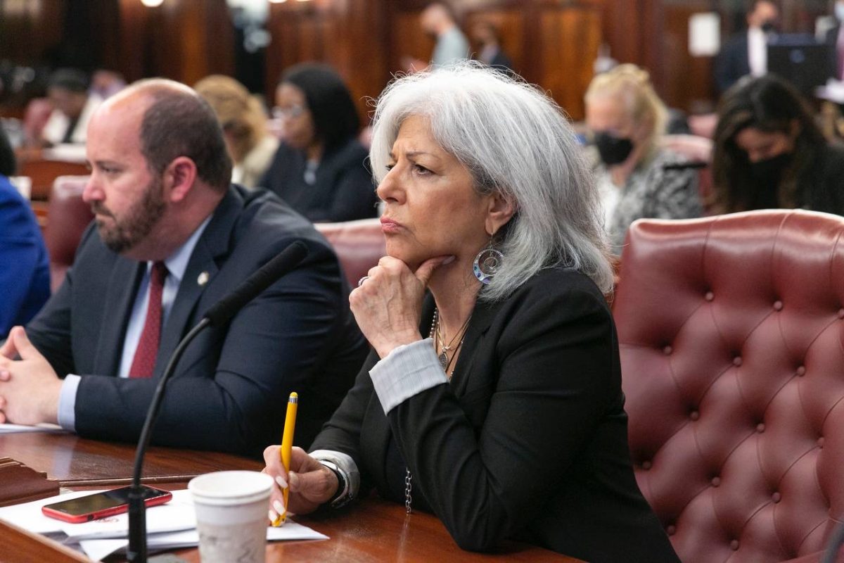 Pictured is Councilmember Vicki Paladino during a legislative session. (Photo Credit: photo provided by the Office of Councilmember Vicki Paladino; reprinted by permission)