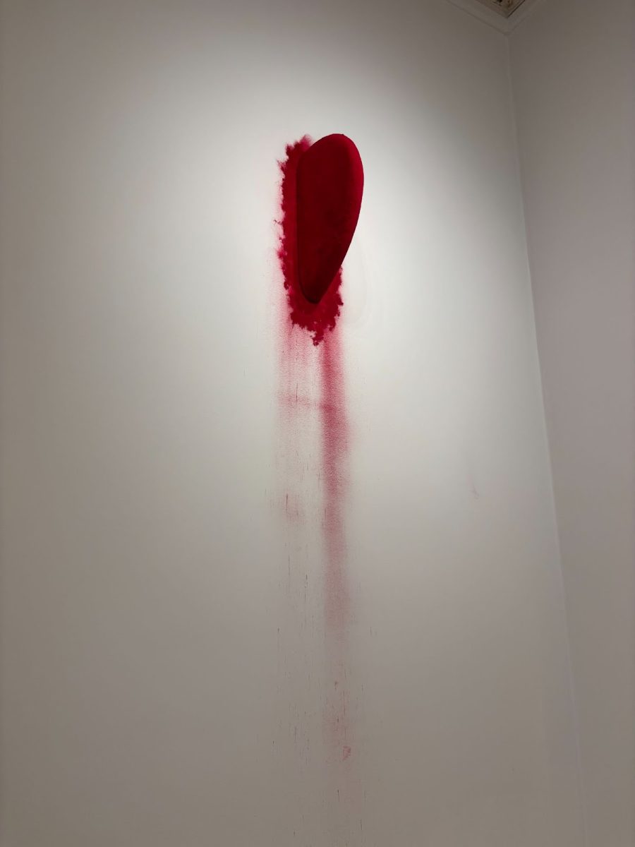 AbbySidi_AnishKapoor_2