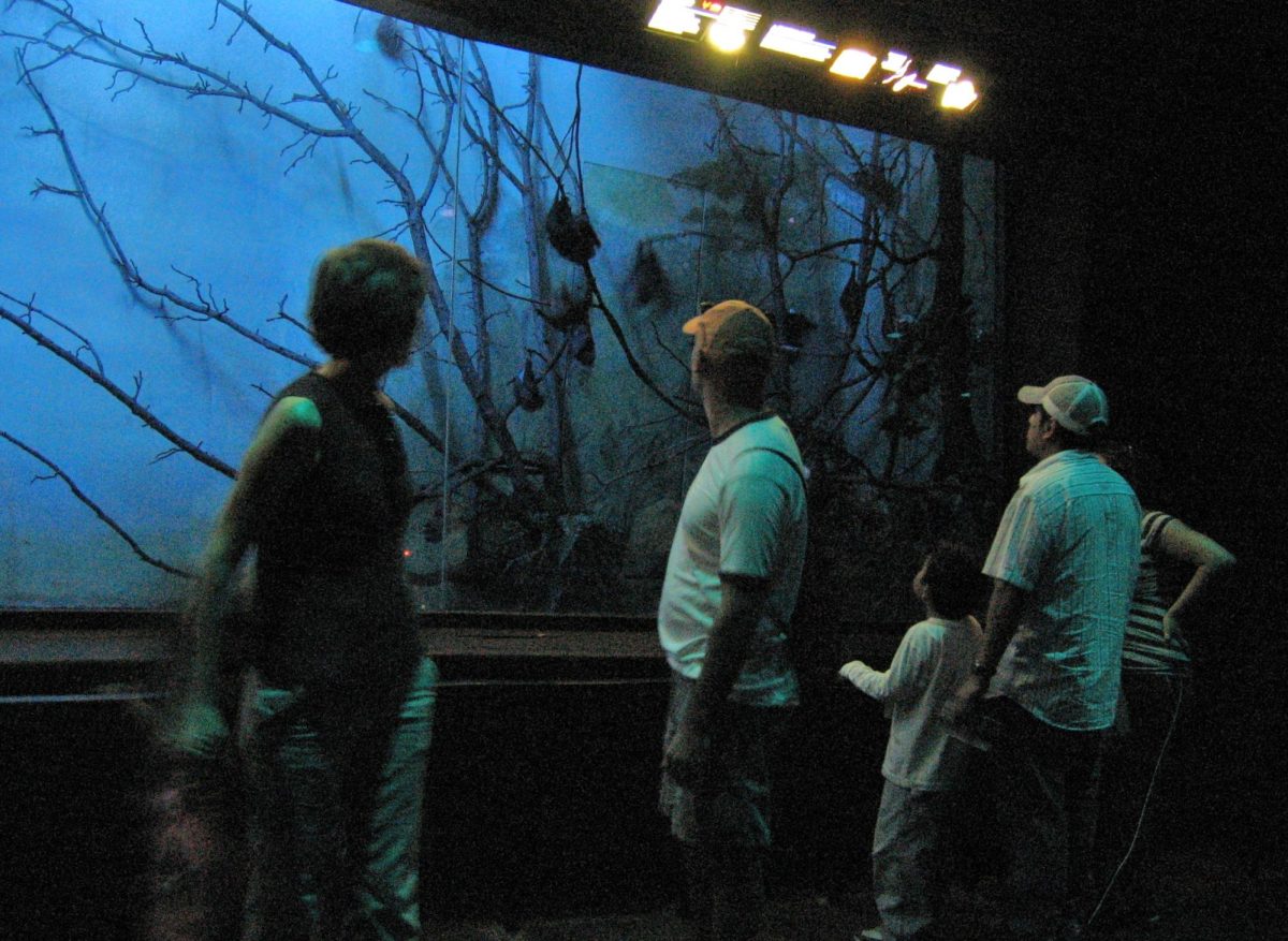  A glimpse of the original 'World of Darkness' exhibit shows its unique nocturnal habitats before it closed in April of 2009. Now, it is newly renovated and reopened. (Photo Credit: Postdlf, CC BY-SA 3.0 , via Wikimedia Commons)